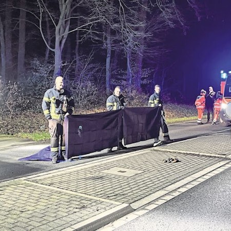 Feuerwehrleute bauten einen Sichtschutz auf (Archivbild)