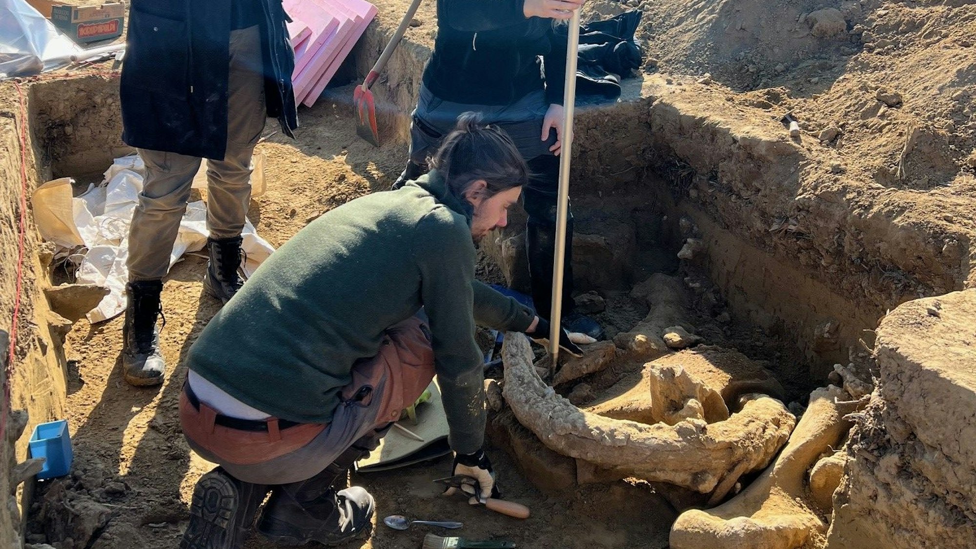 Menschen arbeiten an einer Ausgrabungsstelle in der Nähe von St. Pölten (undatiertes Handout). Archäologen haben in Österreich einen steinzeitlichen Schlachtplatz für Mammuts entdeckt.