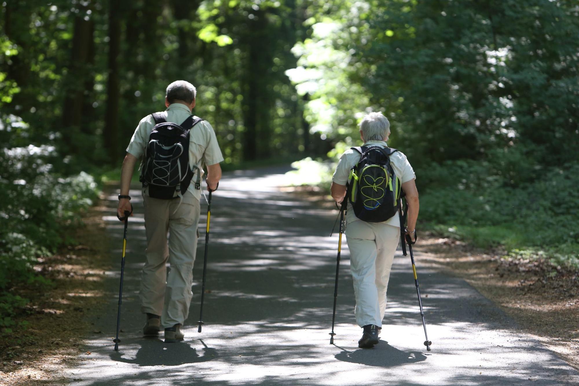 Ein Wanderer und eine Wanderin mit Rucksäcken unterwegs im Wald.
