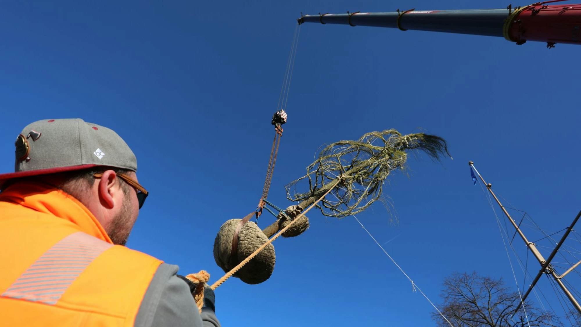 Ein Mann sichert mit einem Seil einen Baum, der am Haken eines Krans durch die Luft schwebt.