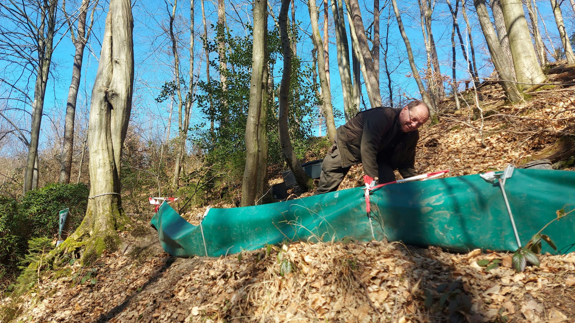 Ein Mann steht an einem Amphibienschutzzaun im Wald.