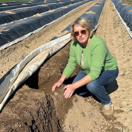 Noch nichts in Sicht - Magret Fritzen an einem mit schwarzer Folie abgedeckten Spargelwall auf dem Feld der Familie in Eschmar.