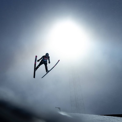 Ein Spiespringer im Lichtkegel des Flutlichts (Symbolbild)