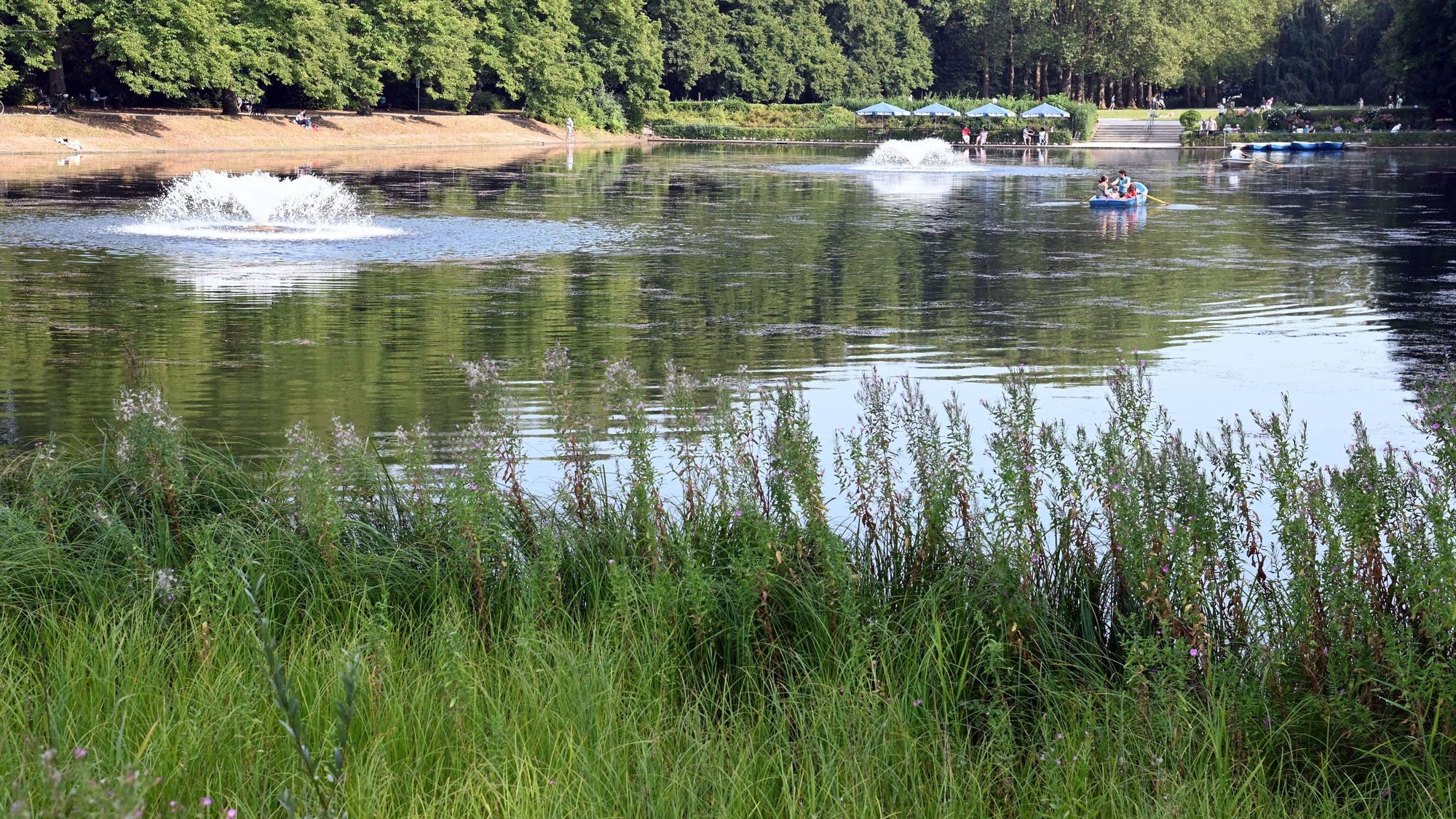 Das Bild zeigt den Weiher und einige hohe Gräser am Ufer. Zwei Menschen fahren mit einem Boot auf dem Wasser. Im Hintergrund auch einige Sonnenschirme am anderen Ufer.