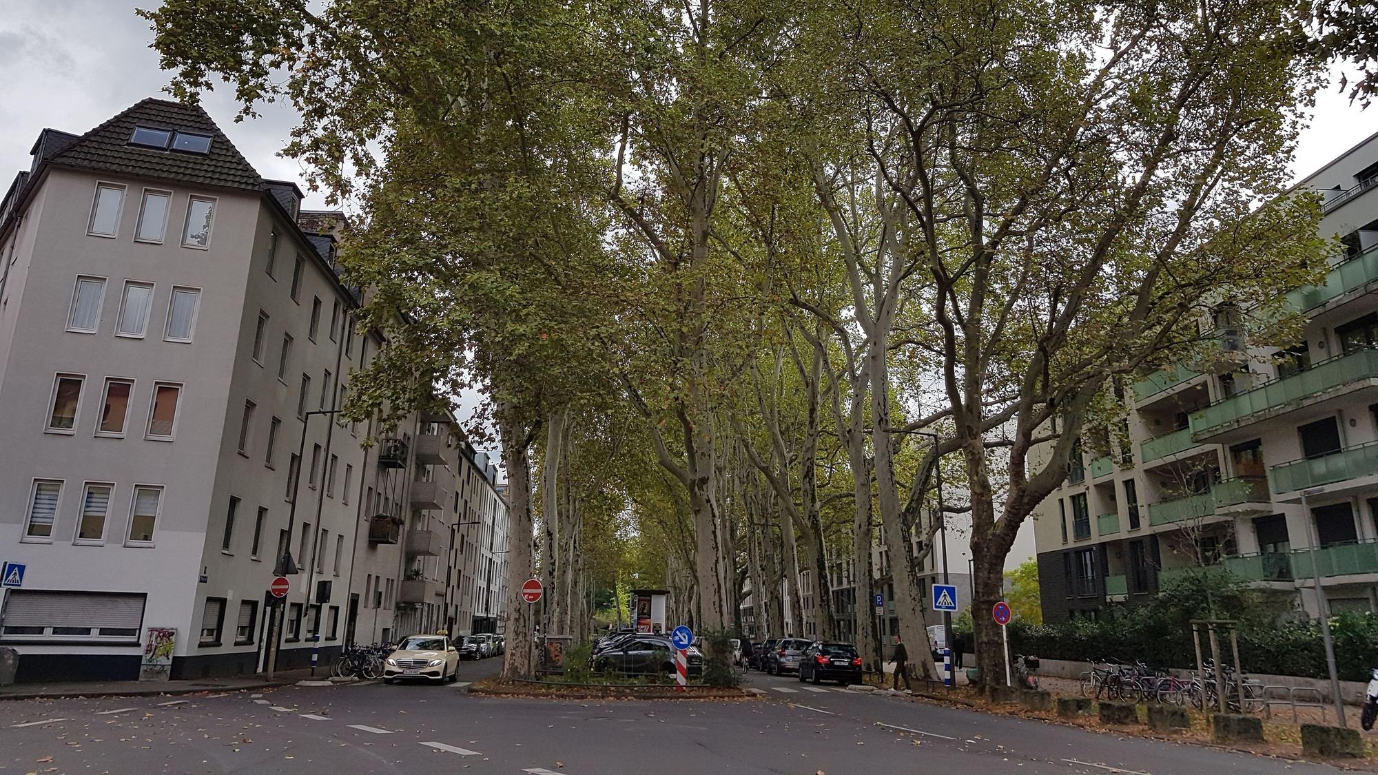 Pfälzer Straße