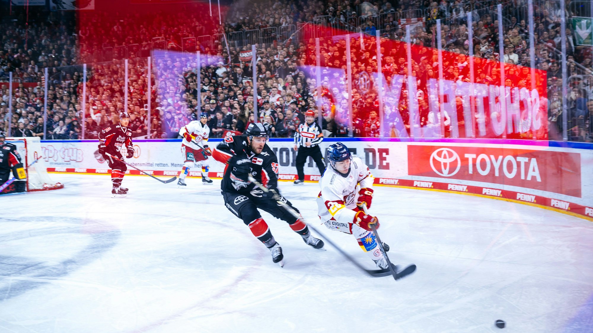 Wenn die Spieler um den Puck kämpfen, scheuen sie keine körperliche Konfrontation.