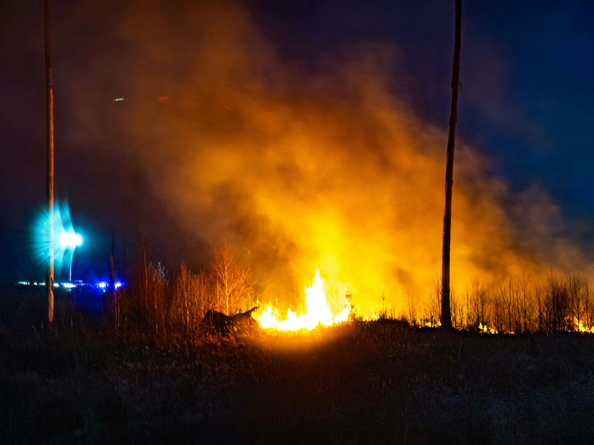 Durch den Wind wurden die Feuer immer wieder angefacht.