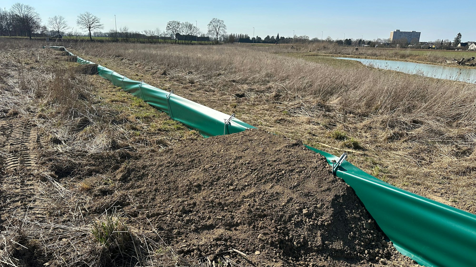 Es geht nicht mehr zurück: Die Stadt hatte einen Amphibienschutzzaun am Butterberg errichtet. Erdrampen begrenzen das Überwinden in nur eine Richtung.