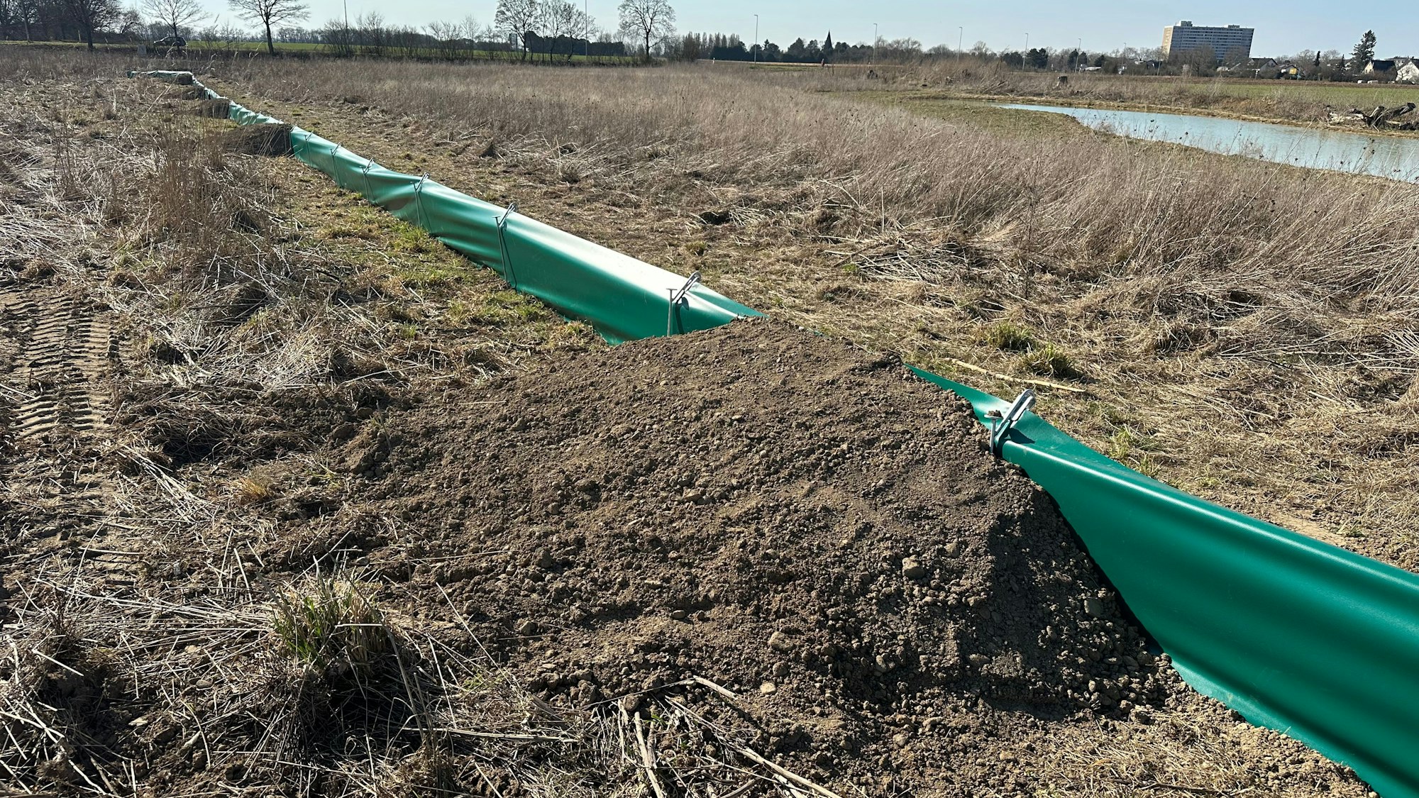 Es geht nicht merh zurück: Die Stadt hat einen Amphibienschutzzaun am Butterberg errichtet. Erdrampen ermöglich das Überwinden in nur eine Richtung.