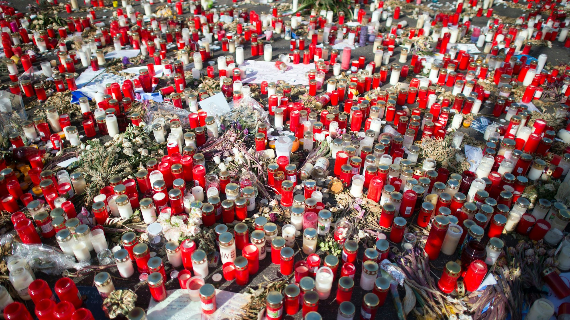 Abgebrannte Kerzen und verdorrte Blumen liegen am 15.04.2015 in Haltern (Nordrhein-Westfalen) vor dem Joseph-König-Gymnasium. (Archivbild)