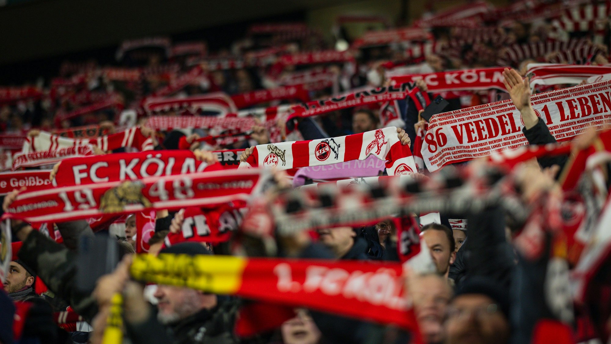 Volle Ränge: Das Kölner Rheinenergiestadion ist bei den Zweitliga-Heimspielen des 1. FC Köln immer ausverkauft.