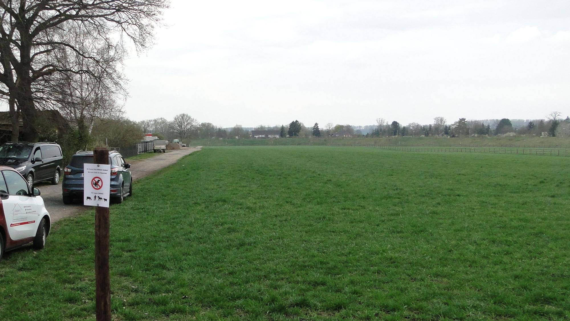 Bislang wird das Areal von einer weitläufigen Wiese eingenommen.