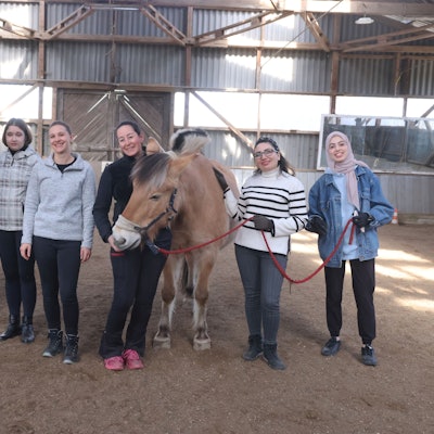 In der Reithalle in Waldbröl-Happach lehrten Janine Schüttenhelm (Mitte, links) und Simone Hannewald (Mitte, rechts) zugewanderten Frauen den richtigen Umgang mit Pferden. Anlass war ein Projekt der Caritas Oberberg.