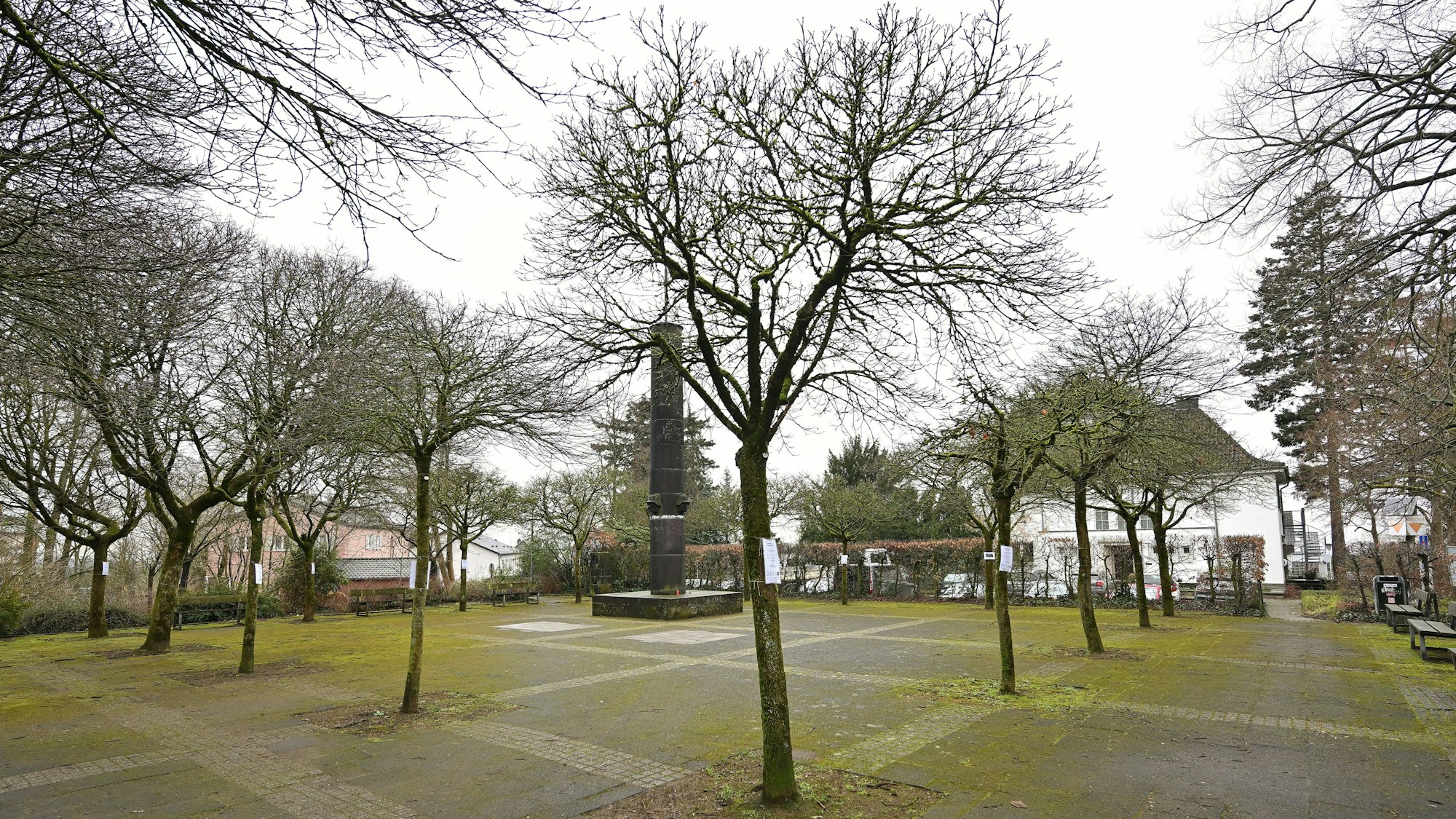 Die Kugelahorn-Bäume stehen im Viereck um ein Denkmal.
