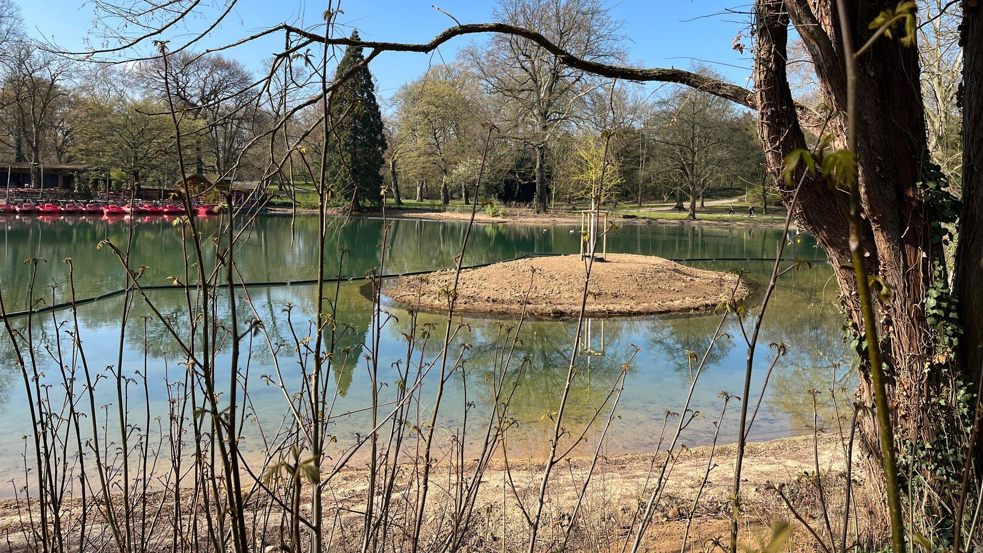 Ein Lebensraum für Frösche, Kröten und Enten wird die kleine Insel im Weiher, sobald die dort eingesetzten Pflanzen gewachsen sind.