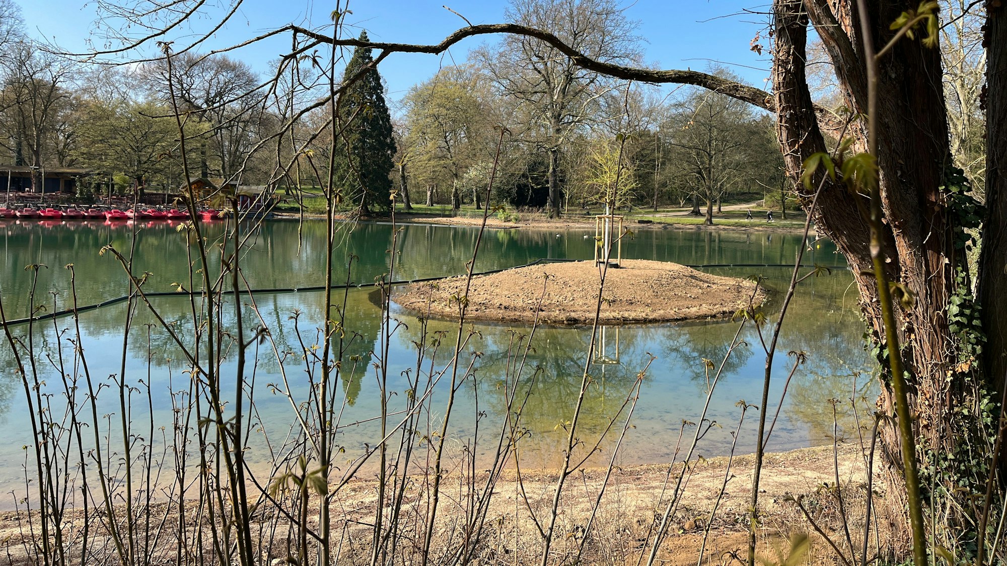 Ein Lebensraum für Frösche, Kröten und Enten wird die kleine Insel im Weiher, sobald die dort eingesetzten Pflanzen gewachsen sind.