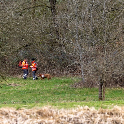 26.03.2025, Hessen, Weilburg: Mitglieder der Rettungshundestaffel durchsuchen ein Gelände an der Lahn westlich von Weilburg. Von dem vermissten sechsjährigen Jungen im hessischen Weilburg fehlt weiterhin jede Spur. Wie eine Polizeisprecherin am frühen Morgen mitteilte, wird der autistisch veranlagte Junge nach wie vor gesucht.