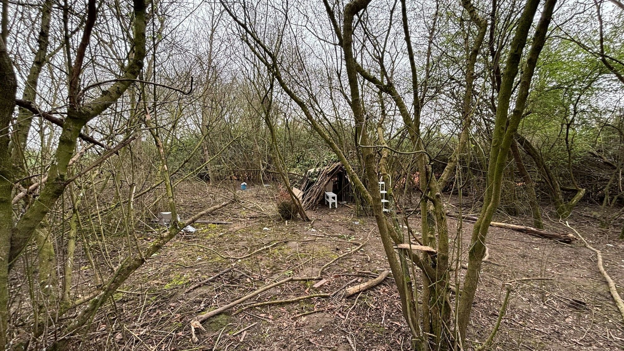 Auf dem Bild ist ein verwildertes Grundstück zu sehen, auf dem Kinder eine Hütte gebaut haben.