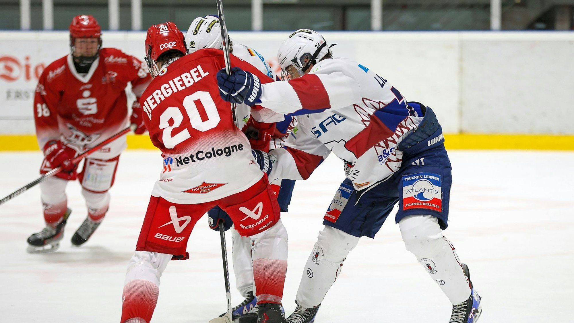 Kölner Junghaie: Max Ziergiebel 
Foto: Hans Kästle