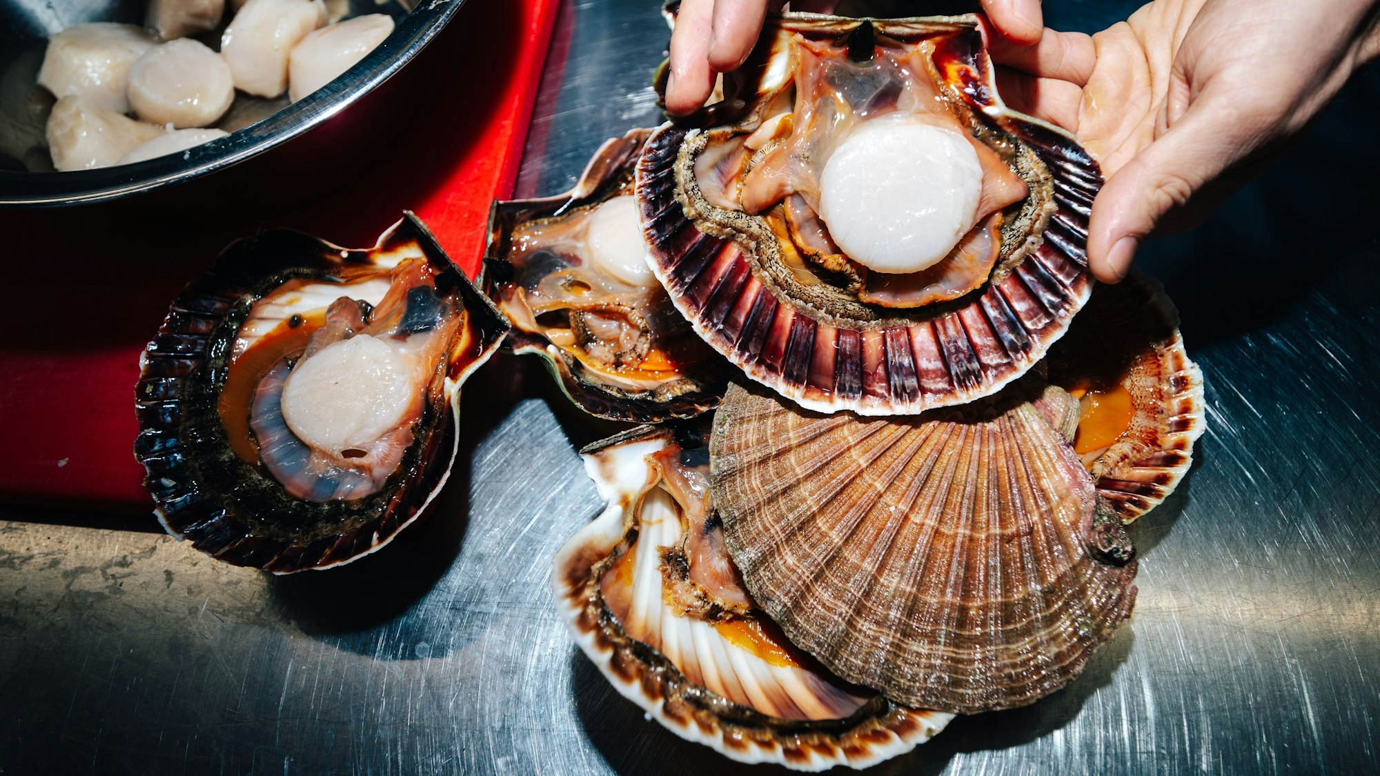 Jacobsmuscheln stehen ebenfalls auf der Karte.