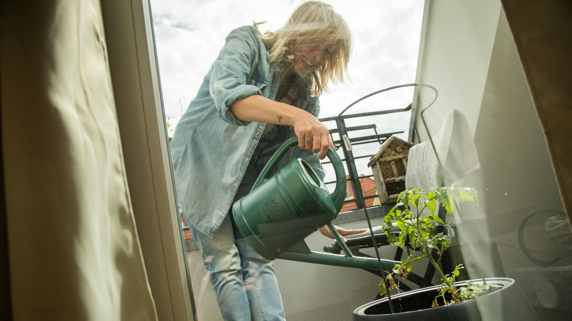 Traditionelle Gemüsesorten wie Tomaten lassen sich auch wunderbar auf dem Balkon anbauen.