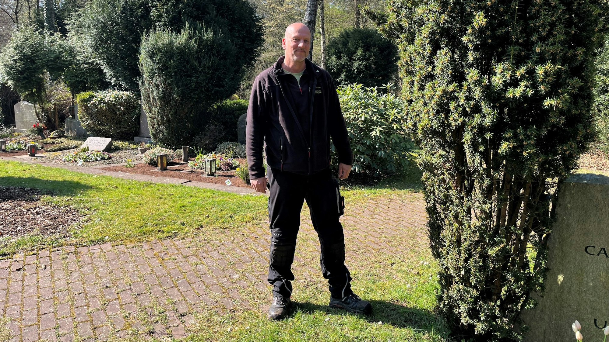 Der Friedhofsgärtner steht neben einer Eibe.