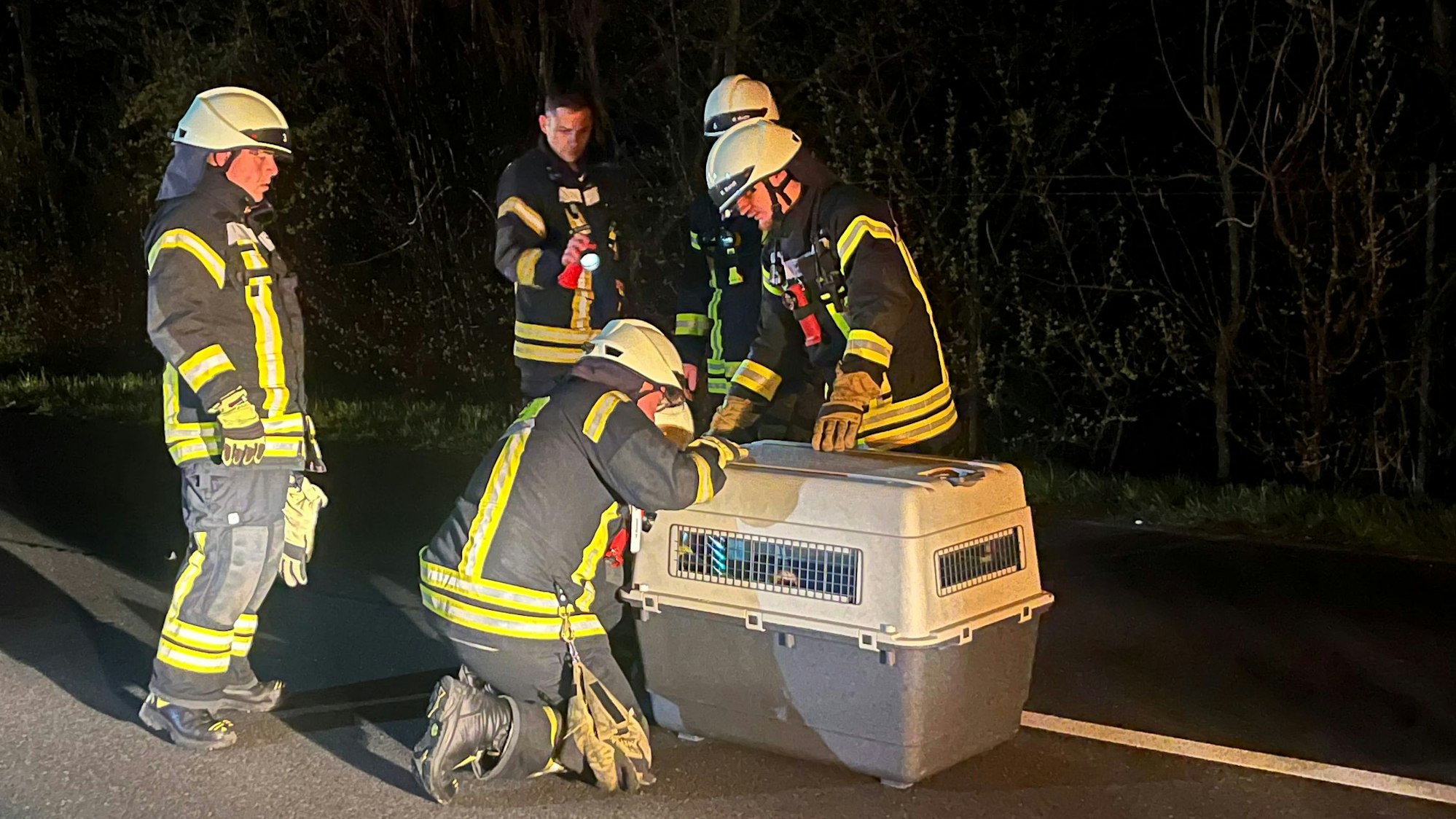 Die Einsatzkräfte packten das Tier vorsichtig und schoben es in eine Transportbox.
