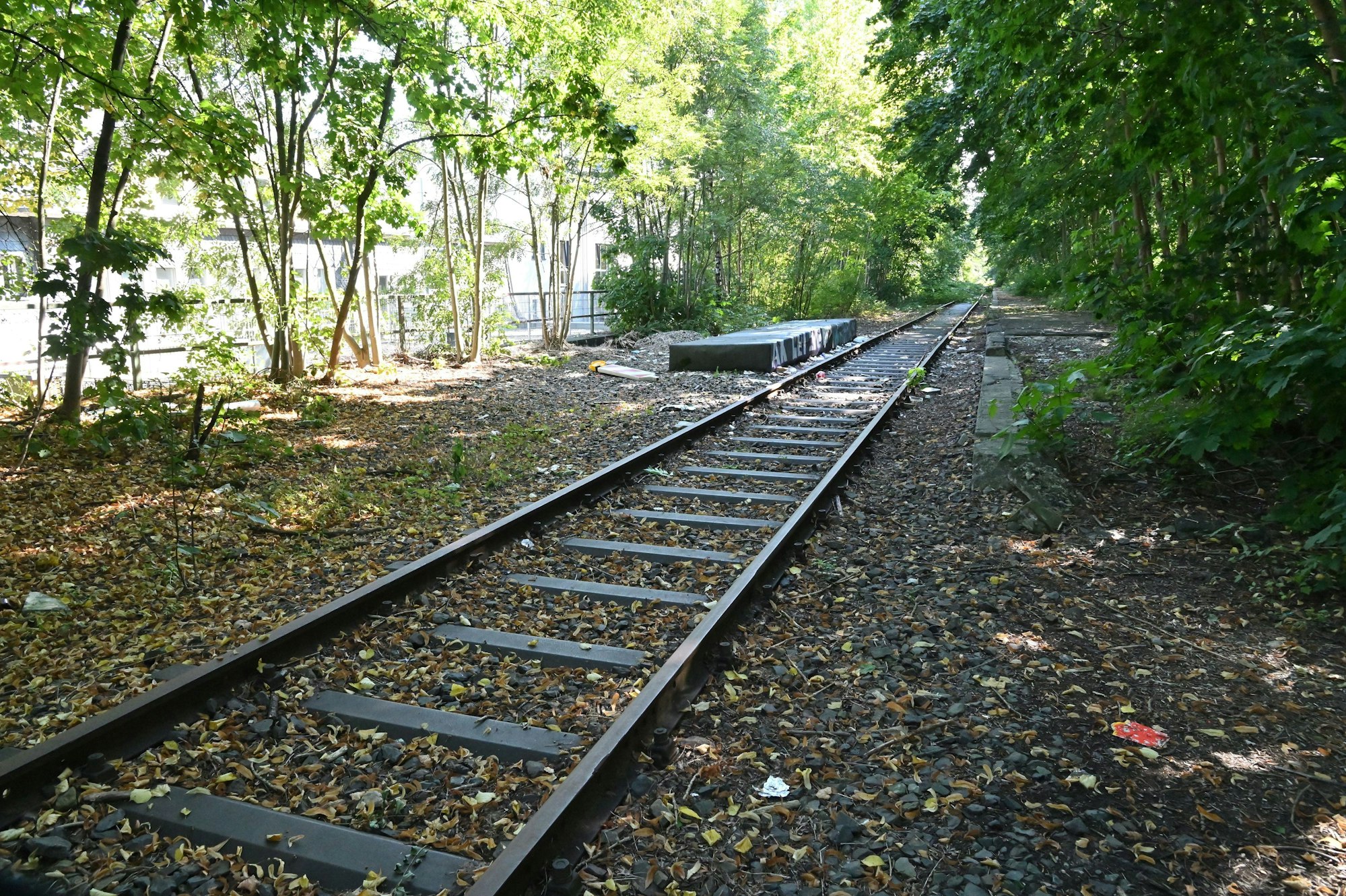Das Foto zeigt den alten Bahndamm bei Bergisch Gladbach