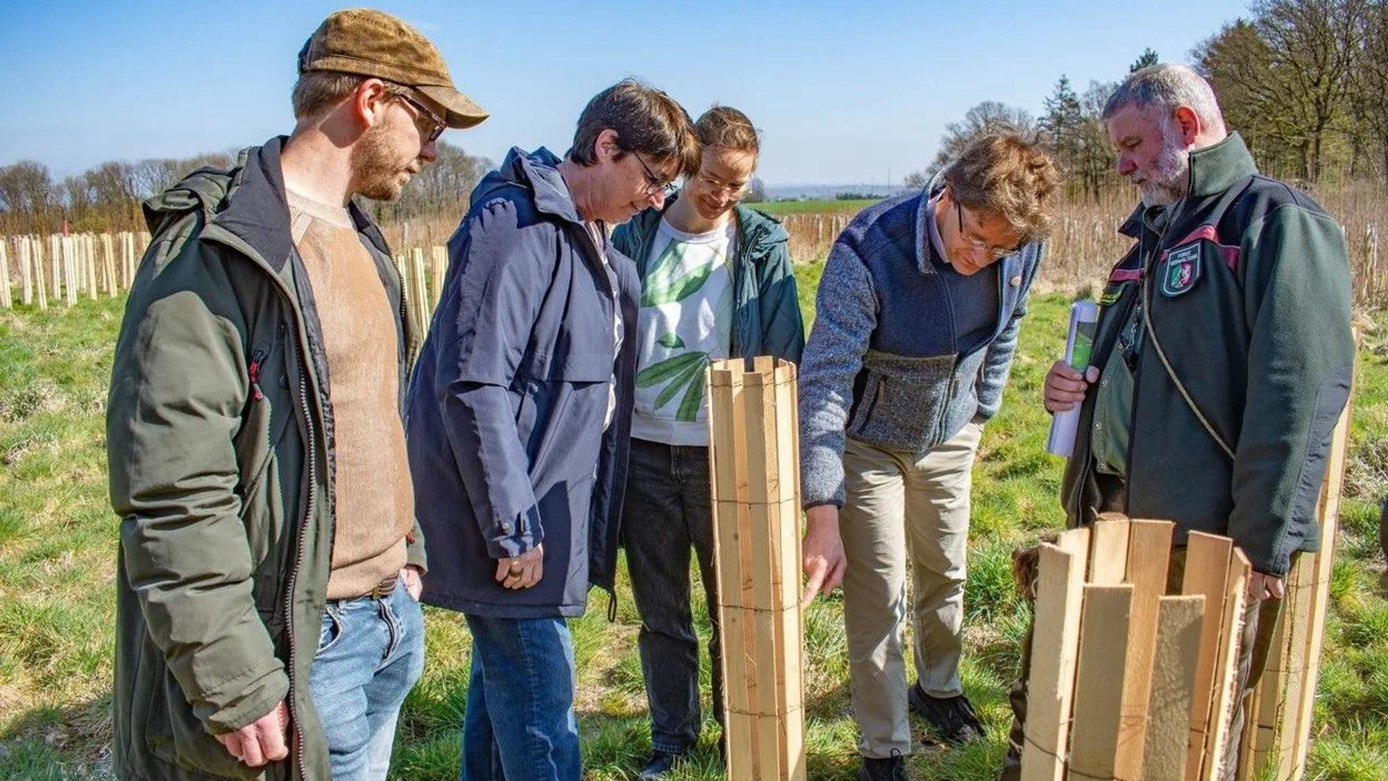 Bernd Sommerhäuser vom Regionalforstamt Rhein-Sieg-Erft (v.r.) zeigt David Baier, Leiter des Amtes für Umwelt und Stadtgrün der Stadt Bonn, sowie Julia Franzen, Bettina Molly und Dominik Block von der Unteren Naturschutzbehörde die Pflanzungen am Schleifenfelsweg.