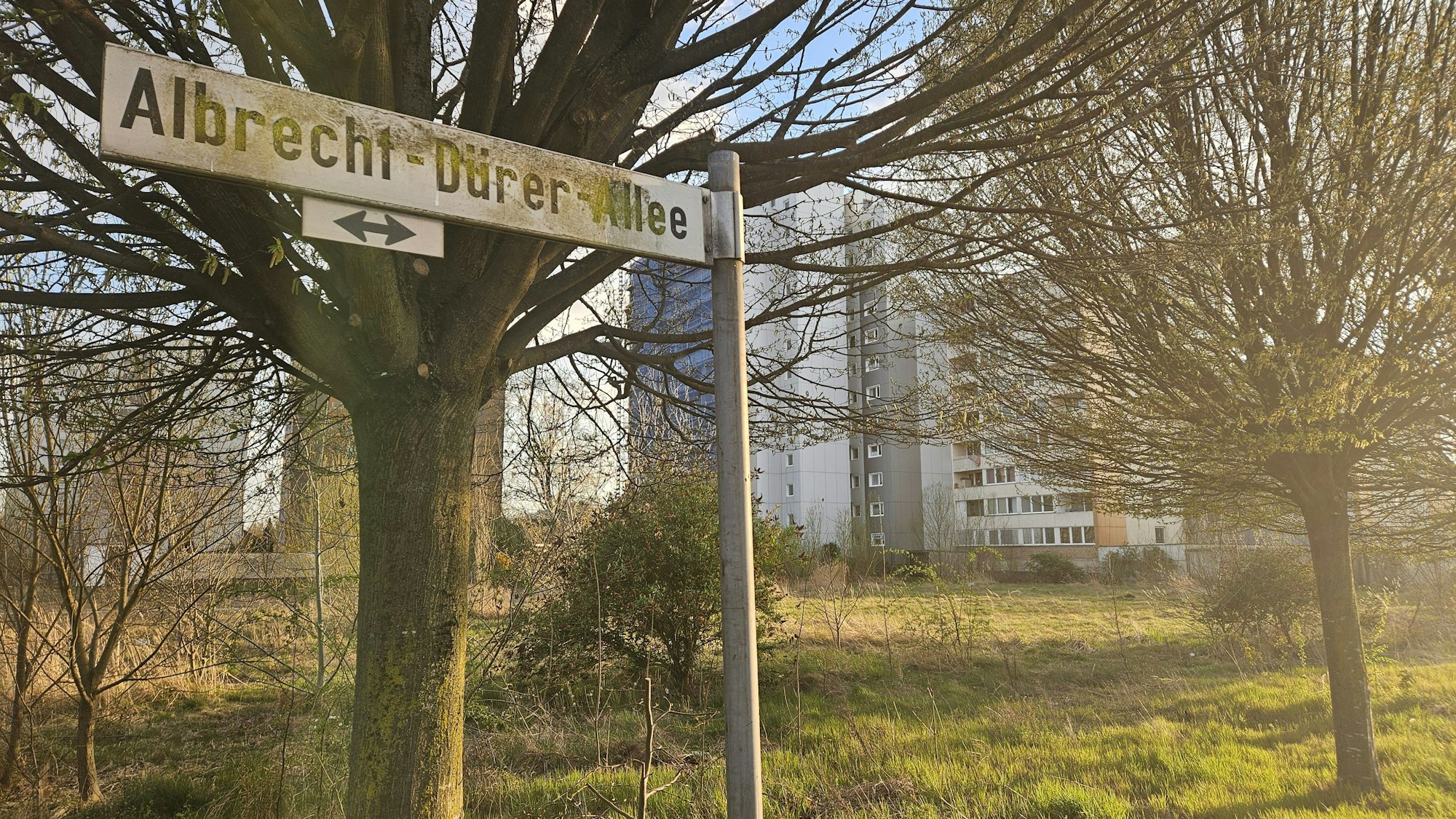 Zu sehen ist ein Straßenschild und dahinter eine brachliegende Wiese sowie Hochhäuser.