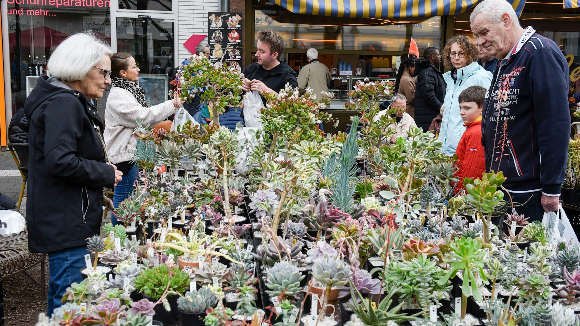 Zu sehen ist ein Stand mit Pflanzen, die von Besuchern begutachtet werden.