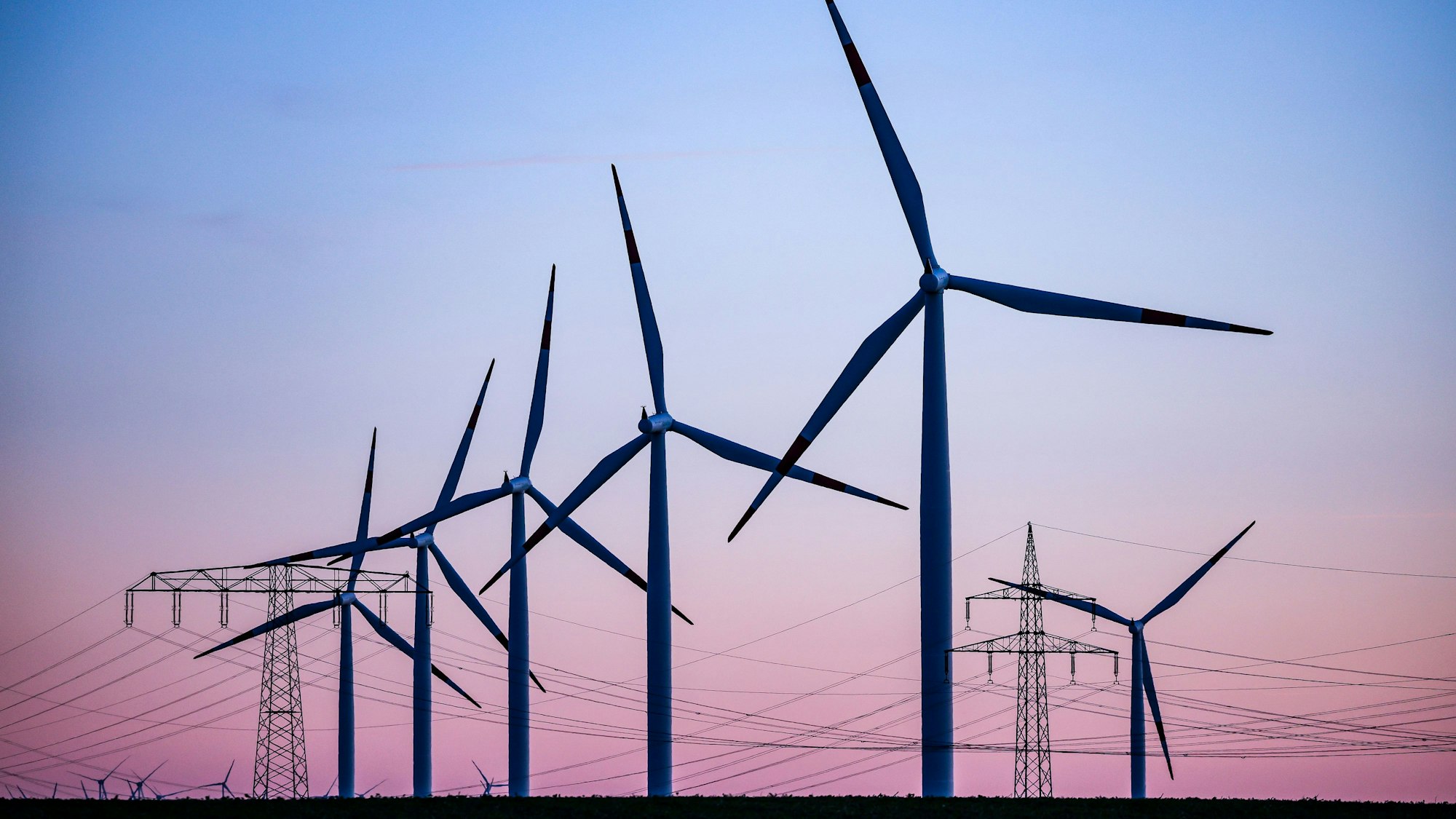 Windräder und Stromleitungen im Morgenlicht.