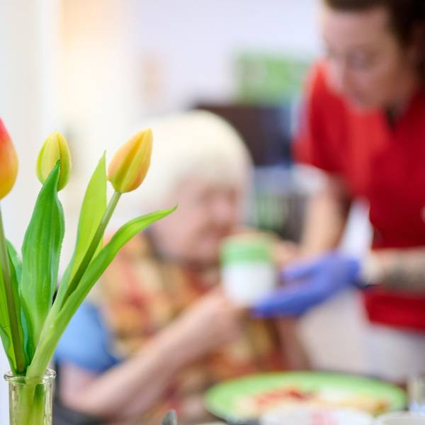 Im Vordergrund steht eine Vase mit Tulpen, im Hintergrund wird eine Seniorin gepflegt.