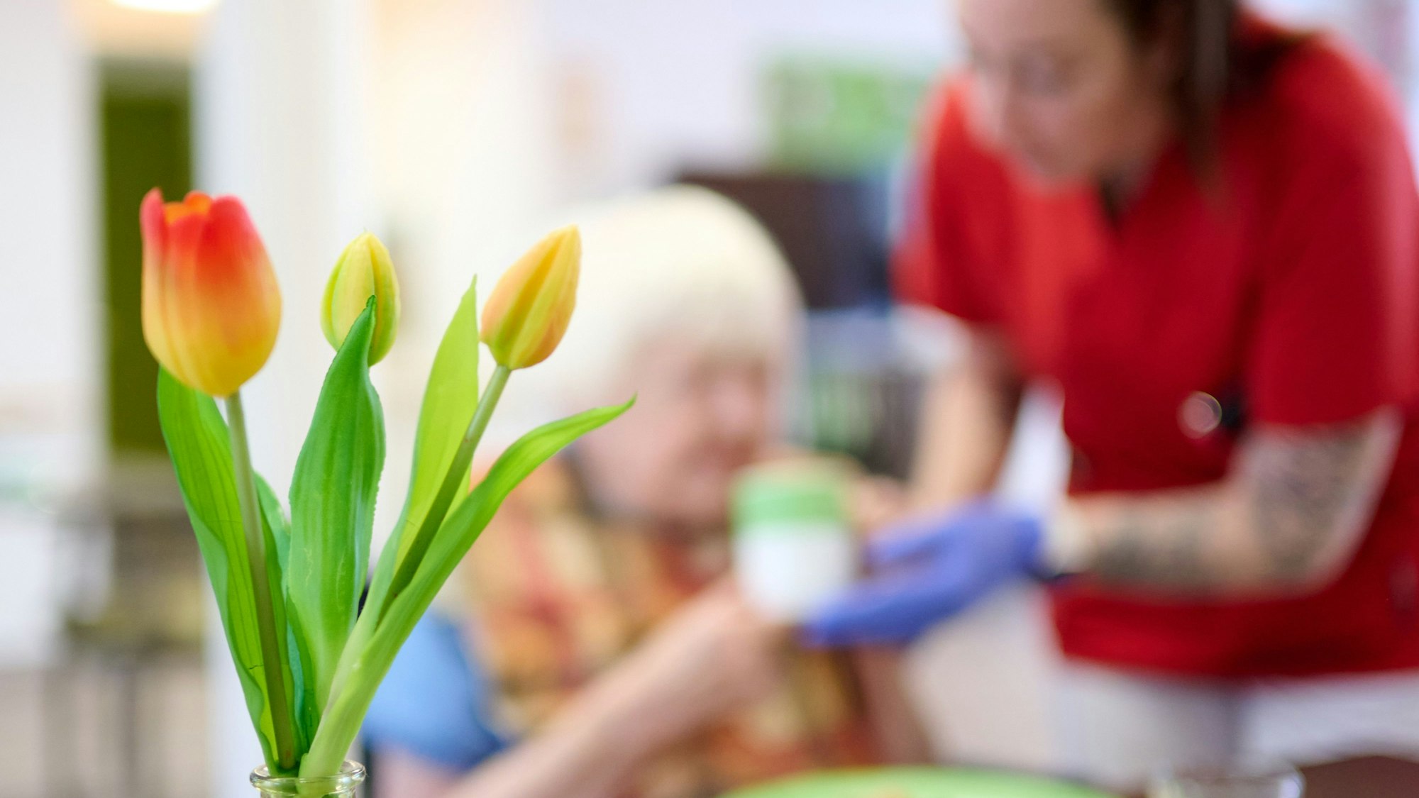 Im Vordergrund steht eine Vase mit Tulpen, im Hintergrund wird eine Seniorin gepflegt.