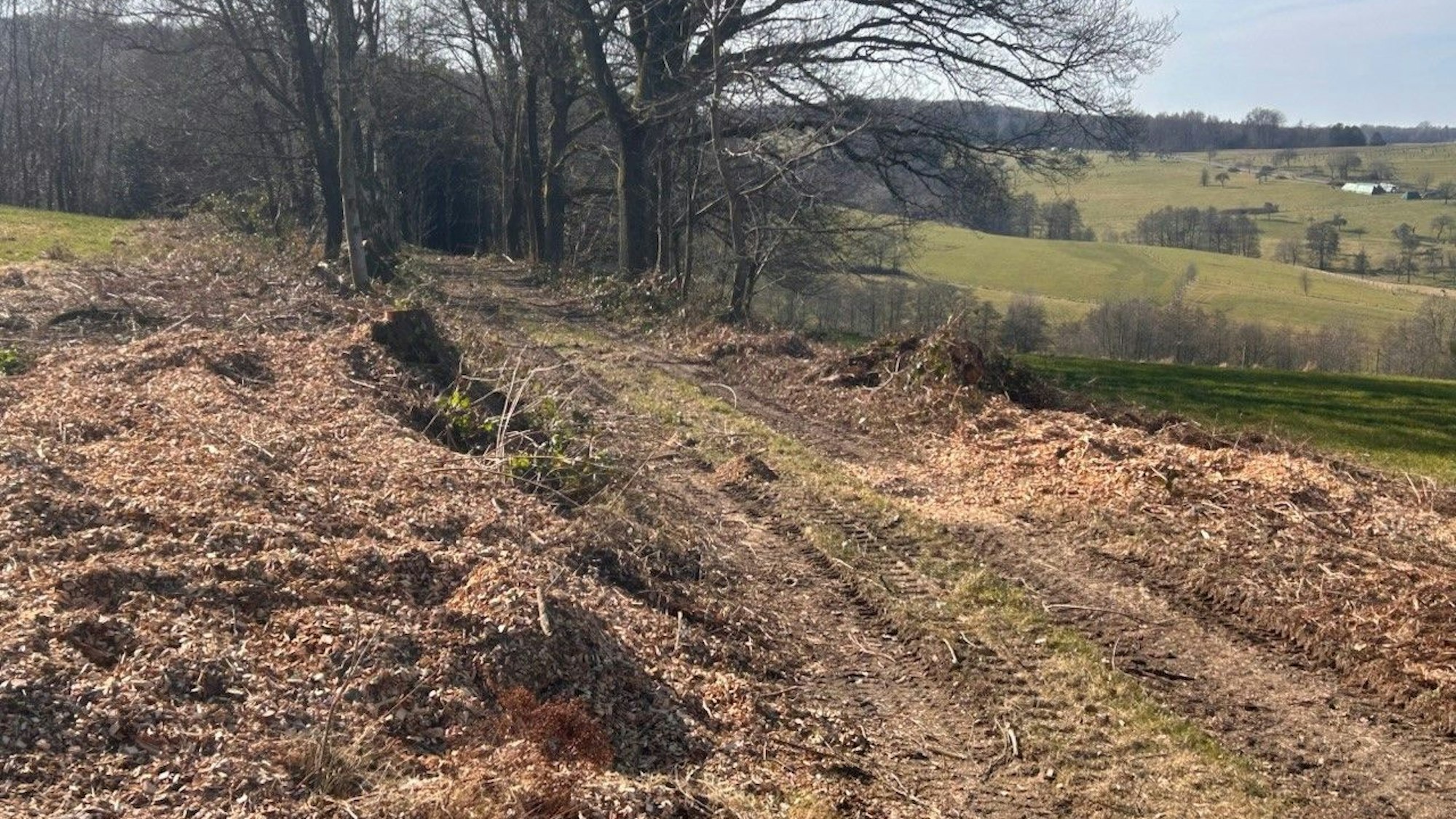 Der Bladersbacher Martin Klein kritisiert die Rückschnitte von Büschen und Sträuchern an den Wirtschaftswegen der Stadt Waldbröl, hier an einer Stelle oberhalb seines Heimatortes und am Rande des Nutscheid-Höhenzugs.