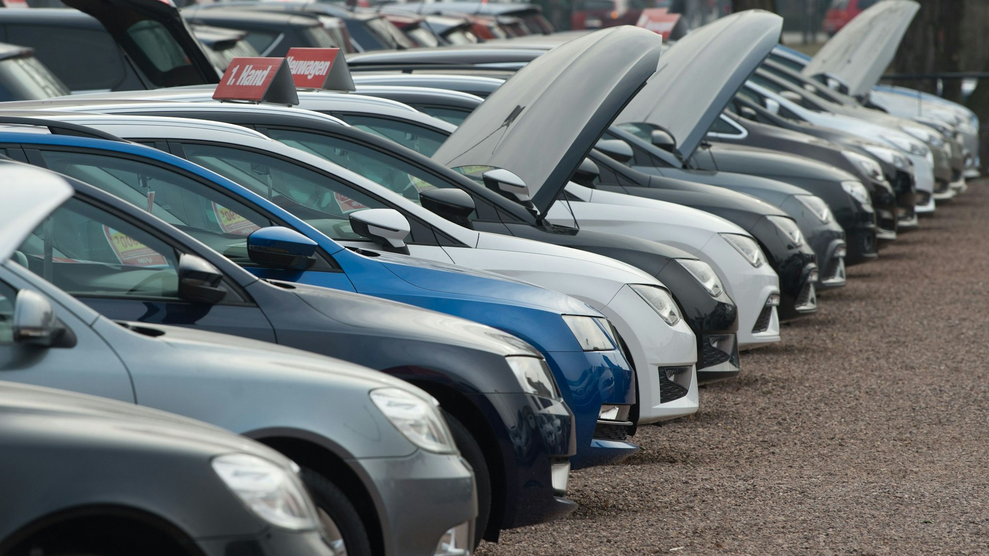 Neu- und Gebrauchtwagen stehen bei einem Autohändler.