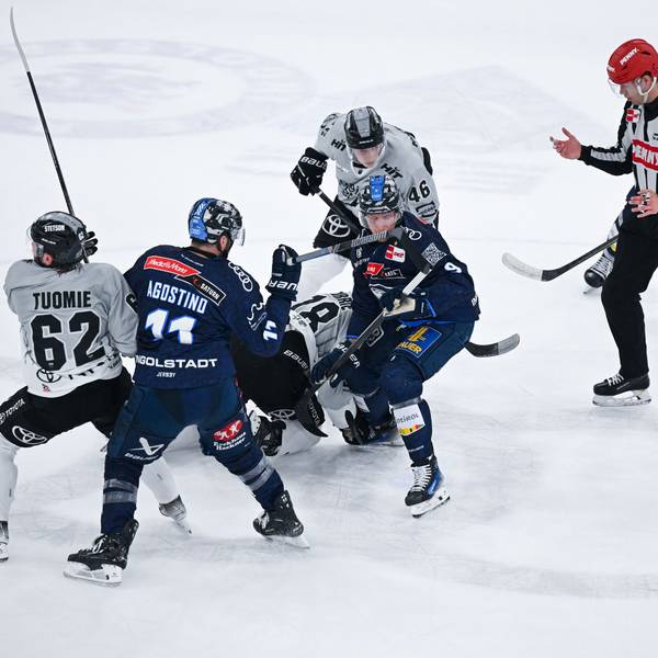 Die Spieler von Ingolstadt und von Köln kämpfen um den Puck.