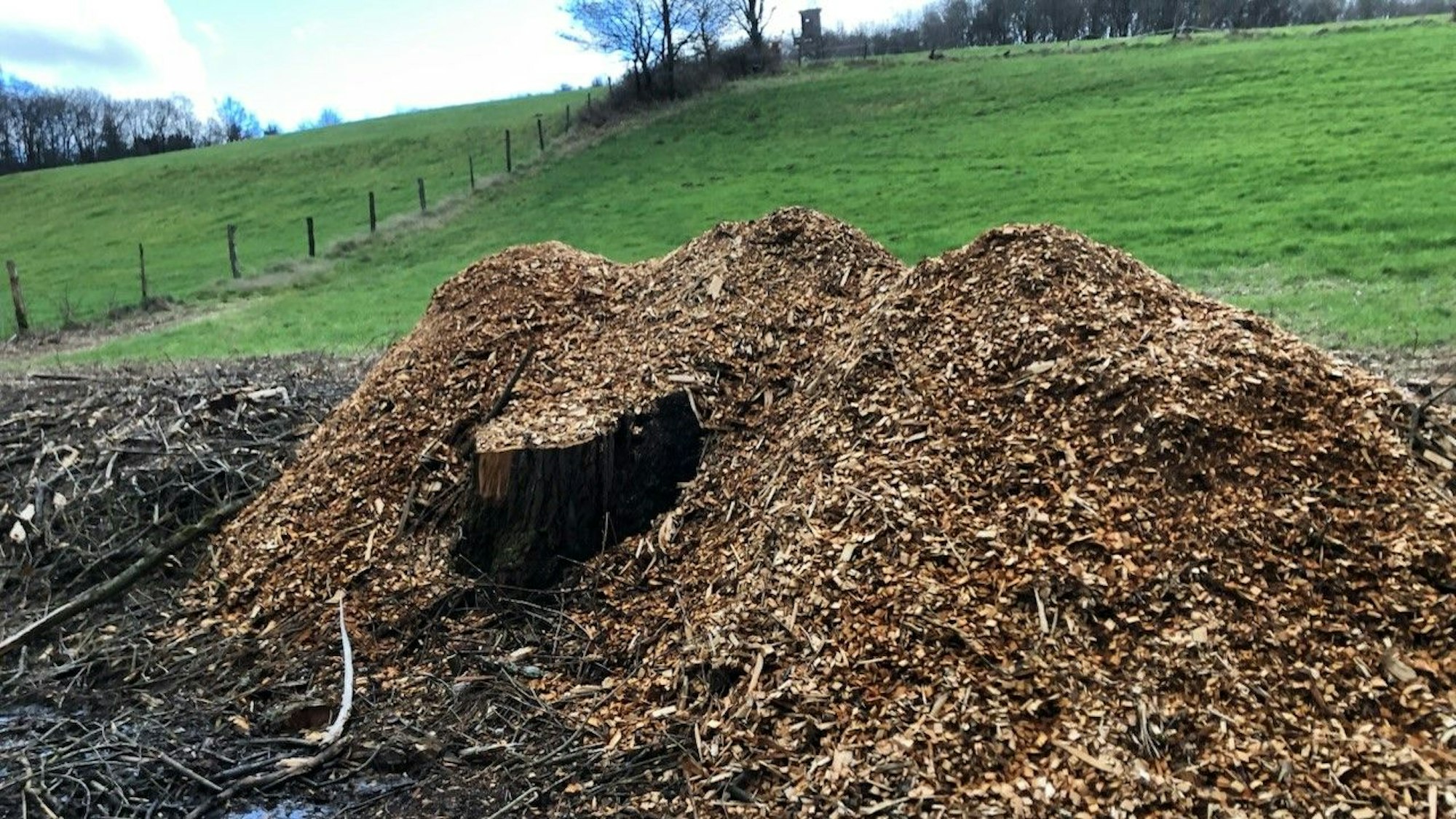 Auch an dieser Stelle, so findet der Waldbröler Martin Klein, sei zu rigoros zurückgeschnitten worden.