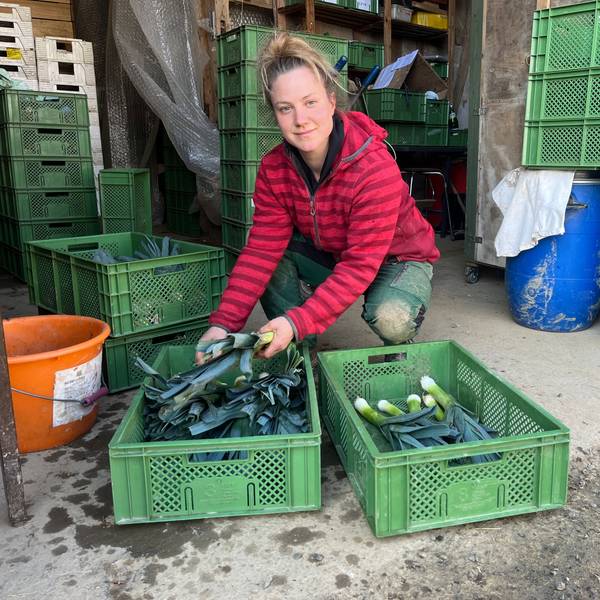 Die Solidarische Landwirtschaft Hanfer Hof existiert seit zehn Jahren, gerade beginnt das neue Erntejahr. Lotte Jobs bereitet die Verteilung vor.