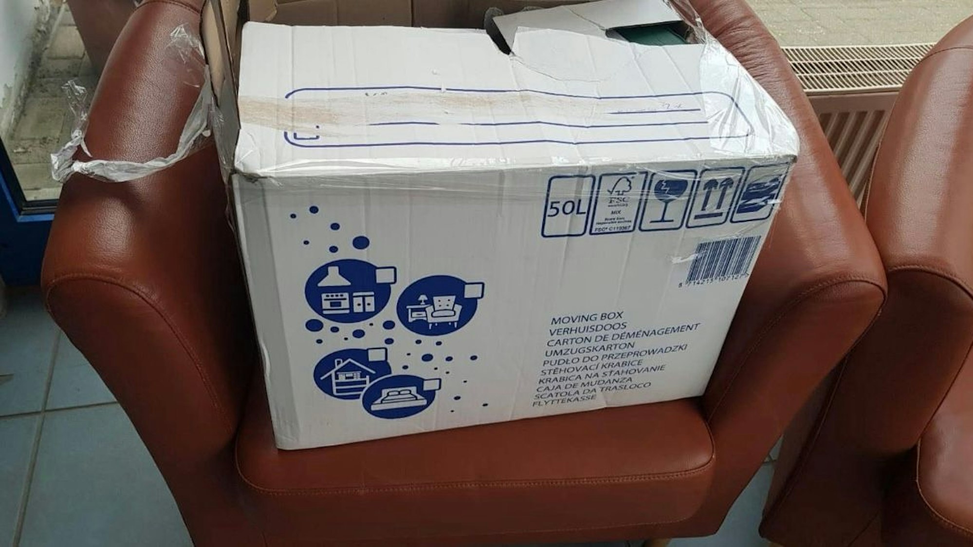 In diesem Karton wurde Flower ausgesetzt.