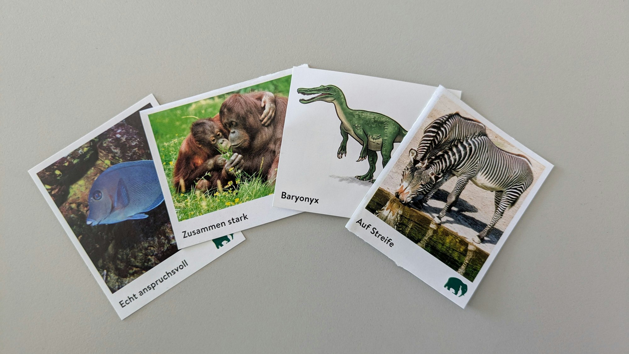 Die Sticker zeigen die Zoobewohner, Dinosaurier und die Geschichte des Zoos seit 1860.