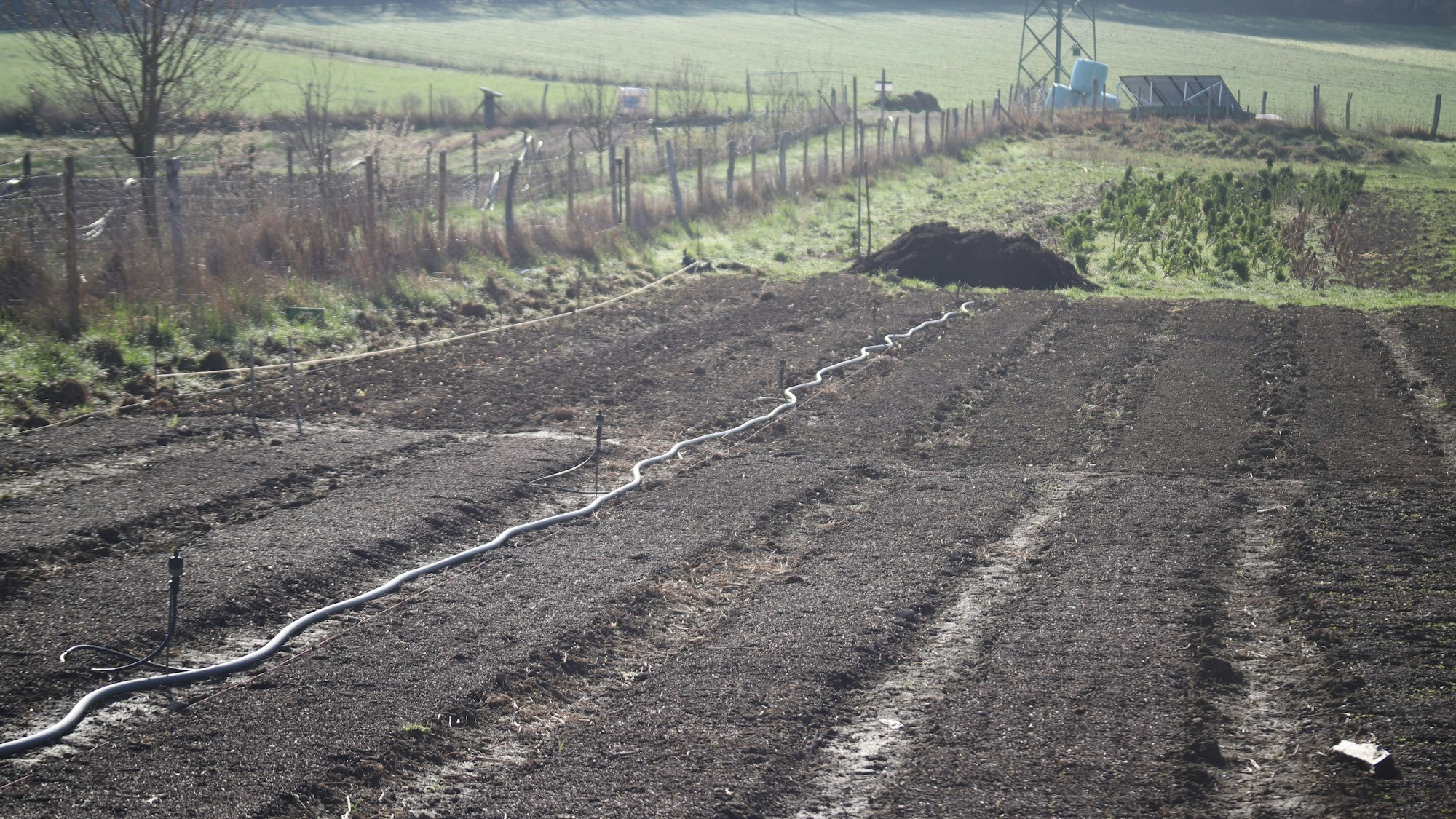 Vorn sind kleine Parzellen für Feingemüse vorbereitet, im Hintergrund wächst noch der Kohl.