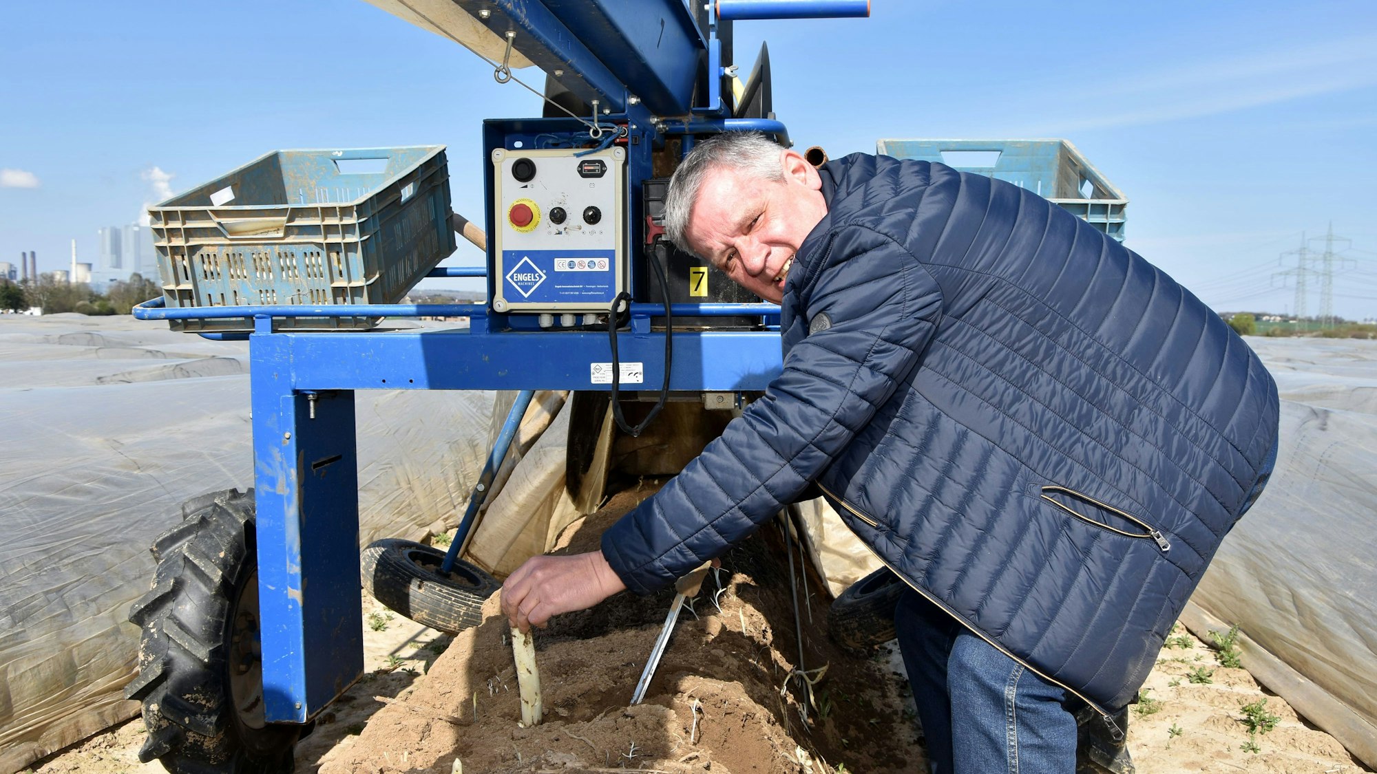 Ein Mann zieht eine Stange Spargel aus der Erde.