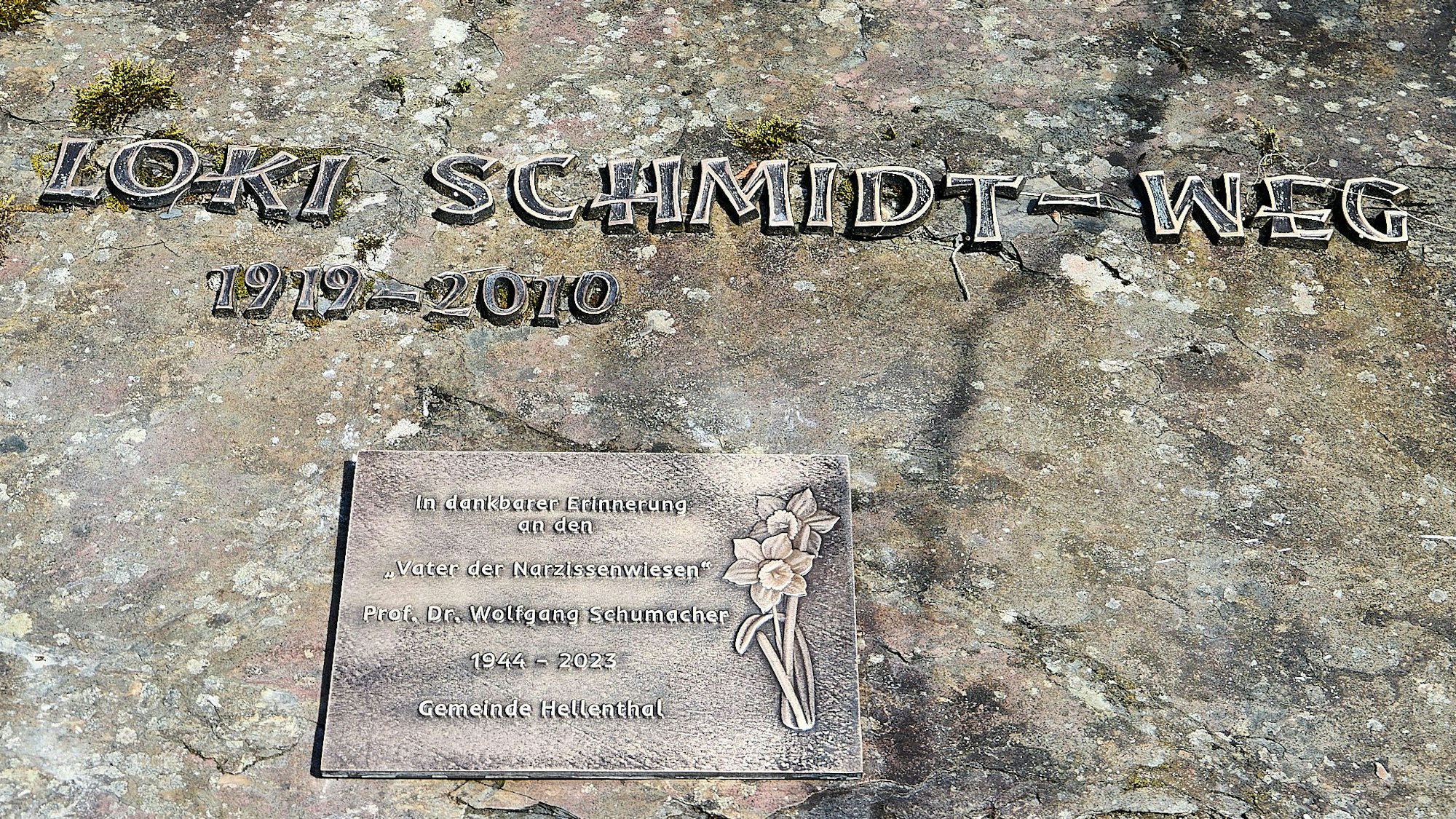 Auf einem Stein sind eine Gedenktafel und der Schriftzug: „Loki Schmidt-Weg“ angebracht.