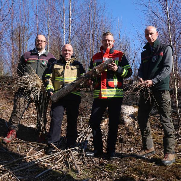 Vier Männer stehen im Wald und halten trockenes Holz in den Händen.