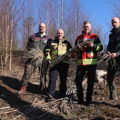 Vier Männer stehen im Wald und halten trockenes Holz in den Händen.