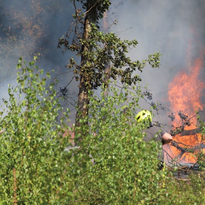 Die Gefahr von Waldbränden steigt aktuell an.