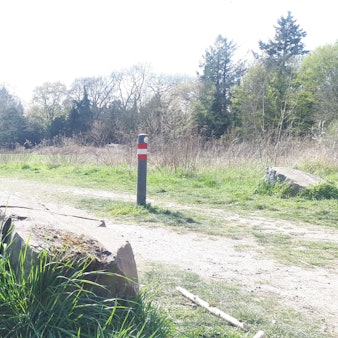 Ein Wiesengrundstück, auf dem die neue Gesamtschule Weidenpesch ihr endgültiges Quartier erhalten soll.