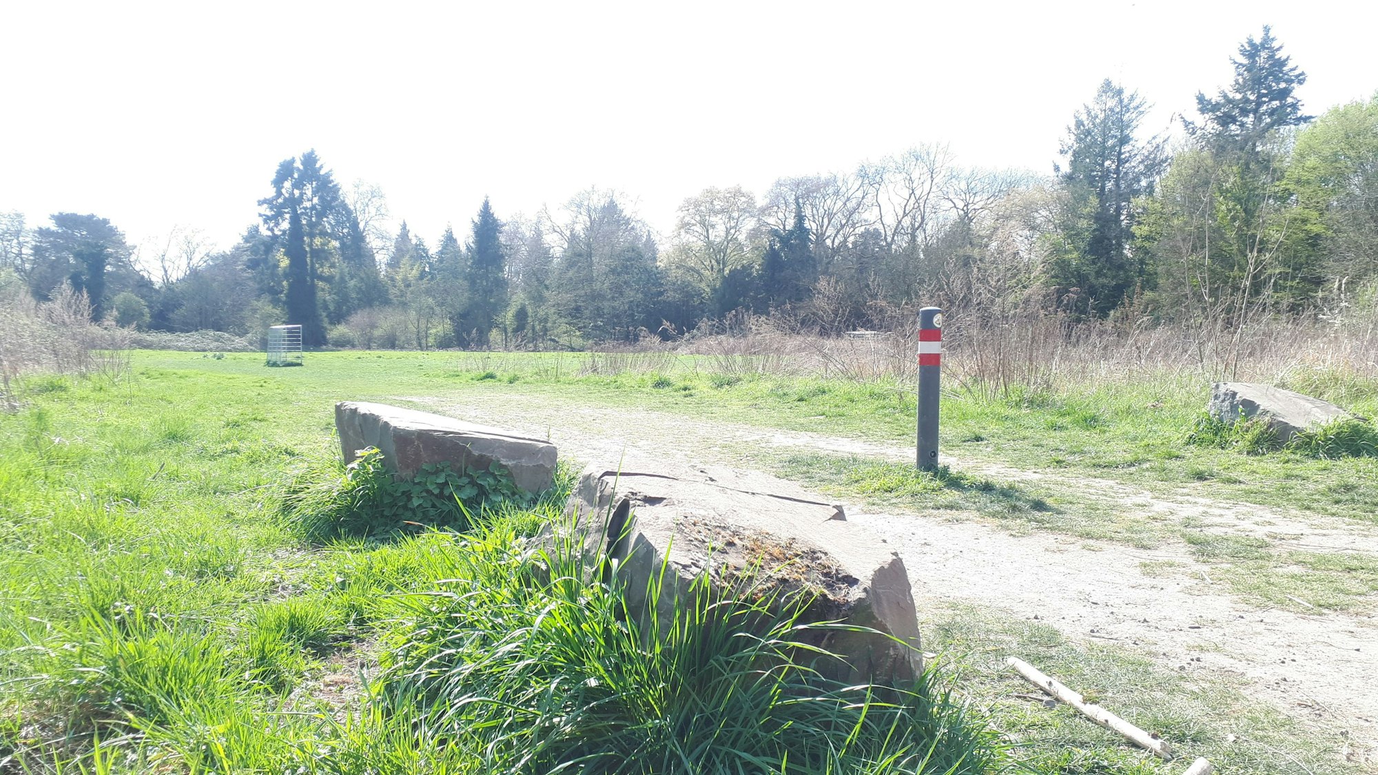 Ein Wiesengrundstück, auf dem die neue Gesamtschule Weidenpesch ihr endgültiges Quartier erhalten soll.