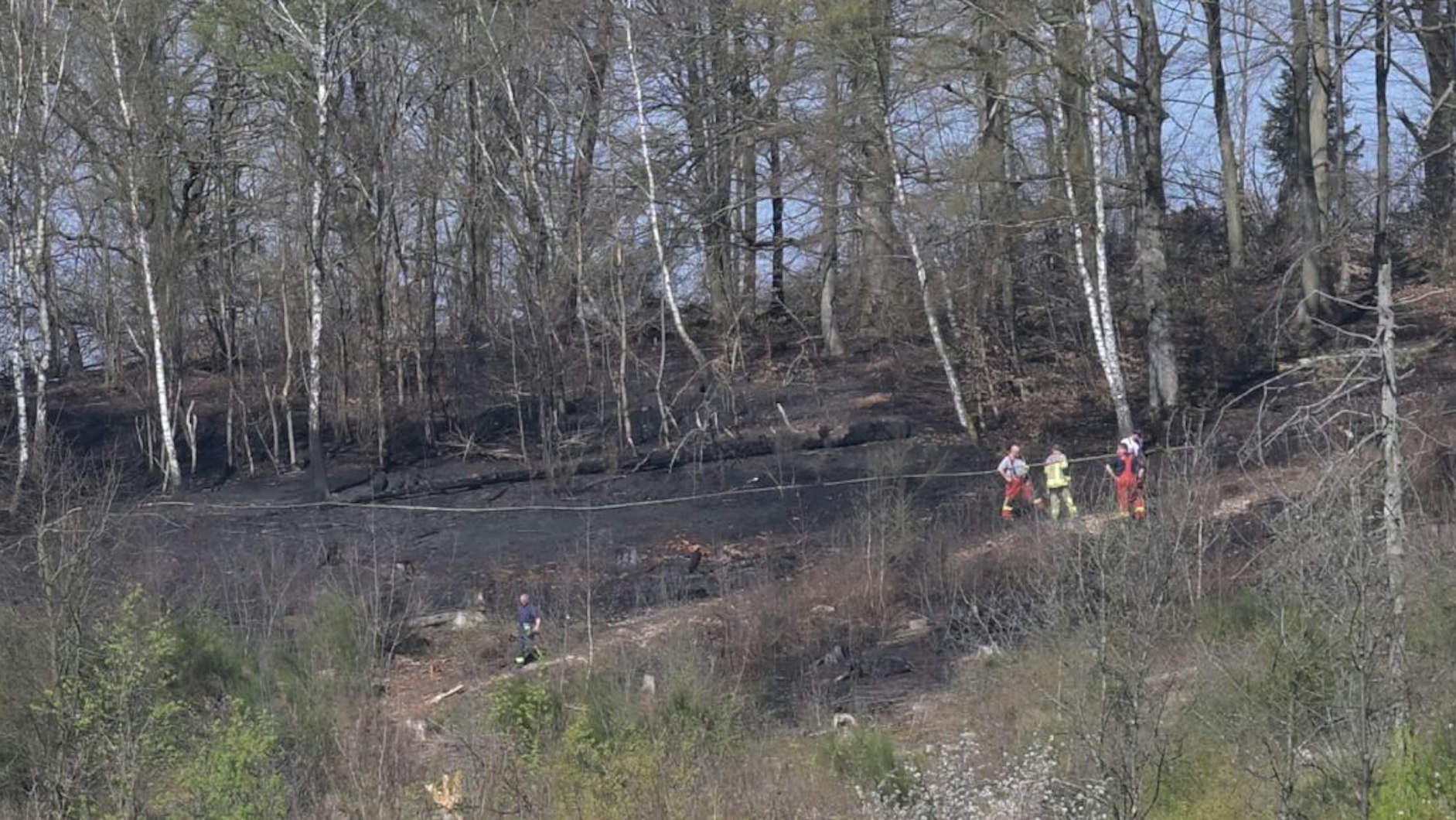 Feuerwehrleute stehen auf verkohltem Waldboden.